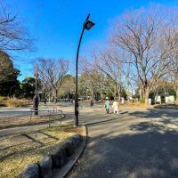 世田谷区駒沢の賃貸物件/駒沢公園を抜けて駅まで行ける