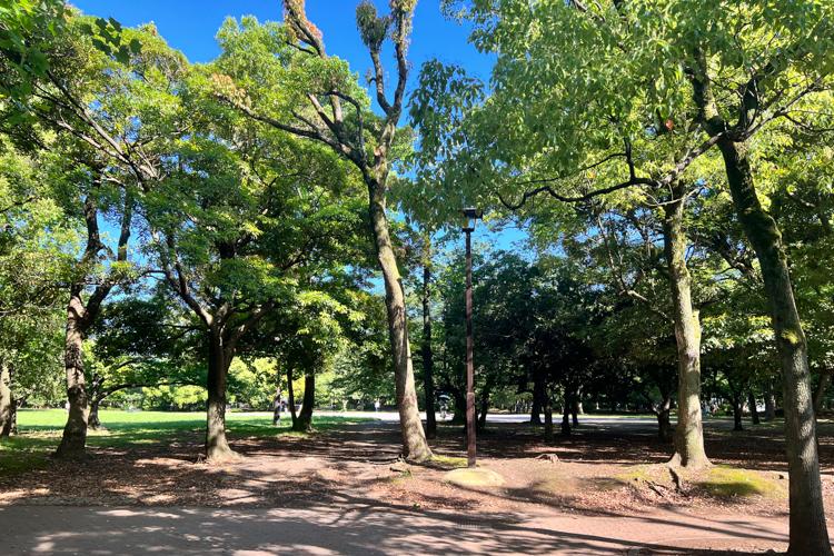 江東区清澄の賃貸物件/建物目の前にある清澄公園。散歩に読書に気持ちよく過ごせそう