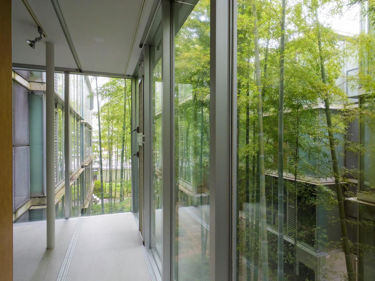 大田区北千束の賃貸物件/竹林の迫力に圧倒される廊下部分