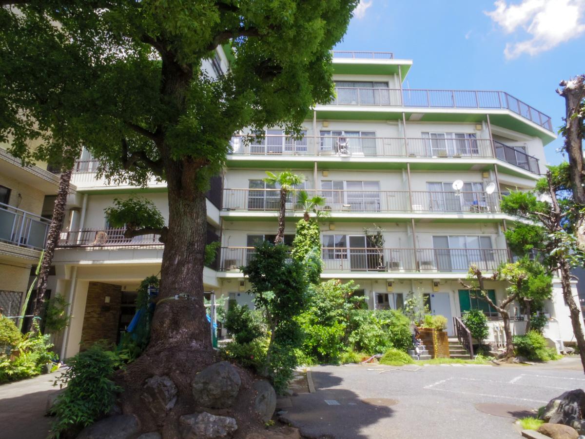 渋谷区代々木の賃貸物件/中庭に大木を持つ、素敵なレトロマンション
