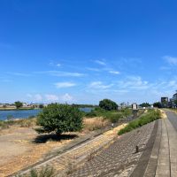 川崎市多摩区宿河原の賃貸物件/多摩川は徒歩約5分。さらに10分ほど川沿いを歩くとサードウェーブコーヒーの先駆け「フグレン」の日本2号店があります（空いていることが多くて穴場）