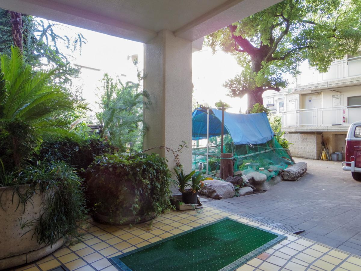 渋谷区代々木の賃貸物件/エントランス前には緑と池がある