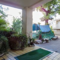 渋谷区代々木の賃貸物件/エントランス前には緑と池がある