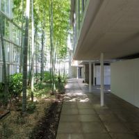 大田区北千束の賃貸物件/日々中庭の竹林を抜ける