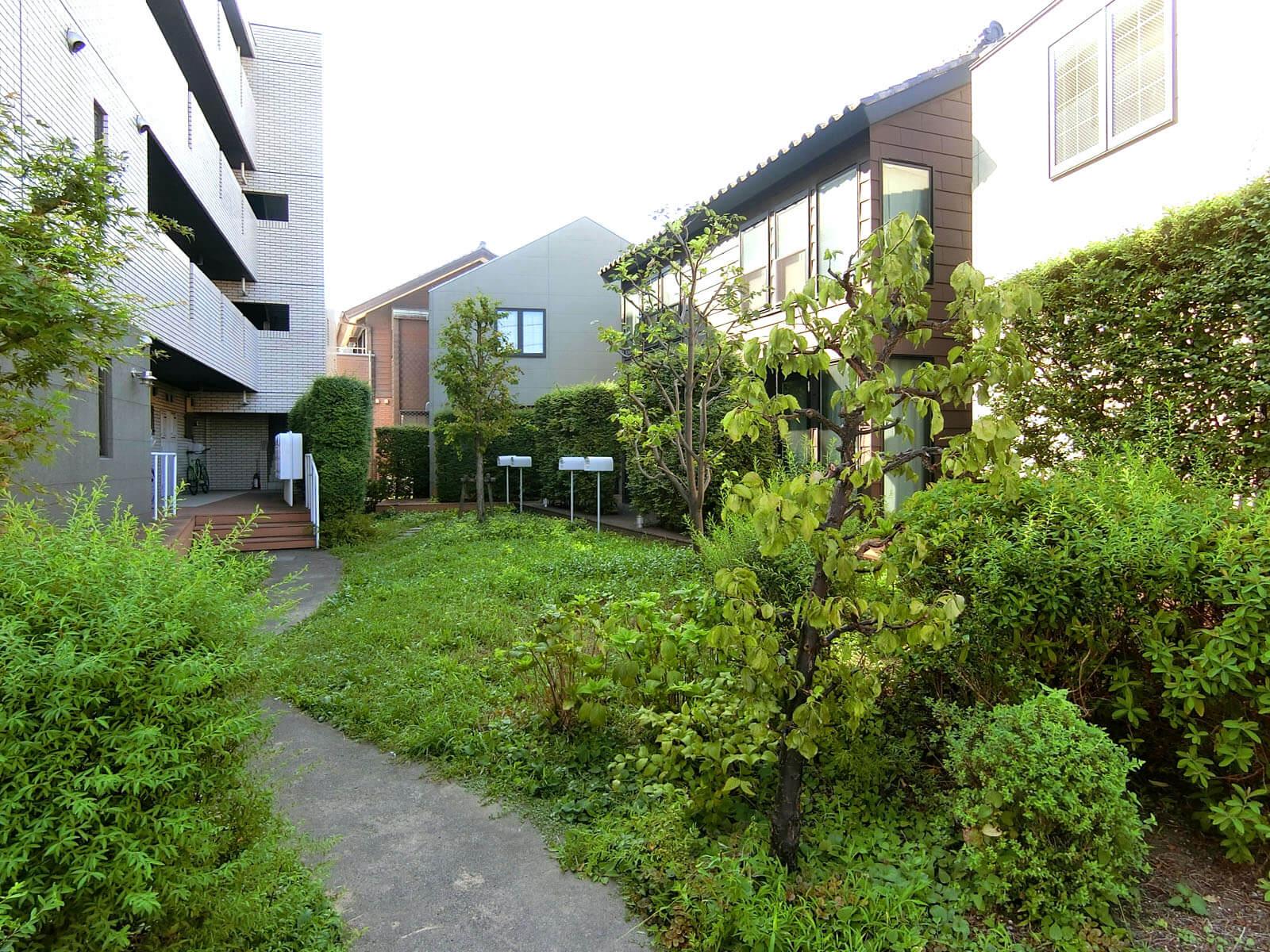 大田区大森中の賃貸物件/中庭の植物たちが季節感いっぱいで出迎えてくれます