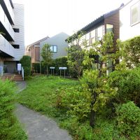 大田区大森中の賃貸物件/中庭の植物たちが季節感いっぱいで出迎えてくれます