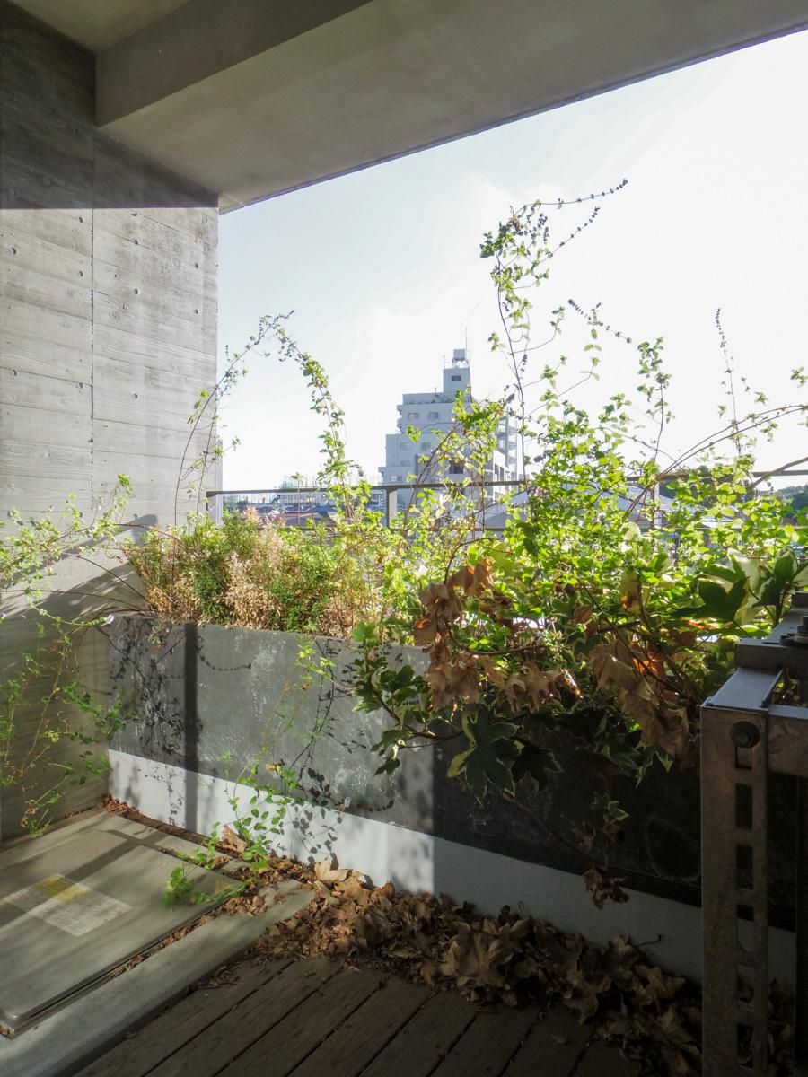 目黒区上目黒の賃貸物件/バルコニー。水やりは自動的に散水されるのでご安心を