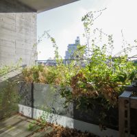 目黒区上目黒の賃貸物件/バルコニー。水やりは自動的に散水されるのでご安心を