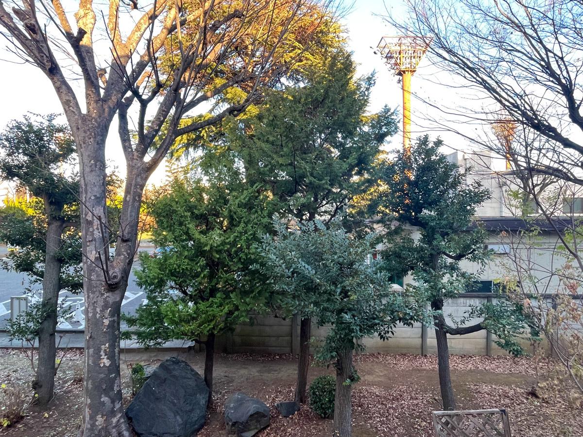 世田谷区池尻の賃貸物件/窓の外に見えるのは、世田谷公園の緑です