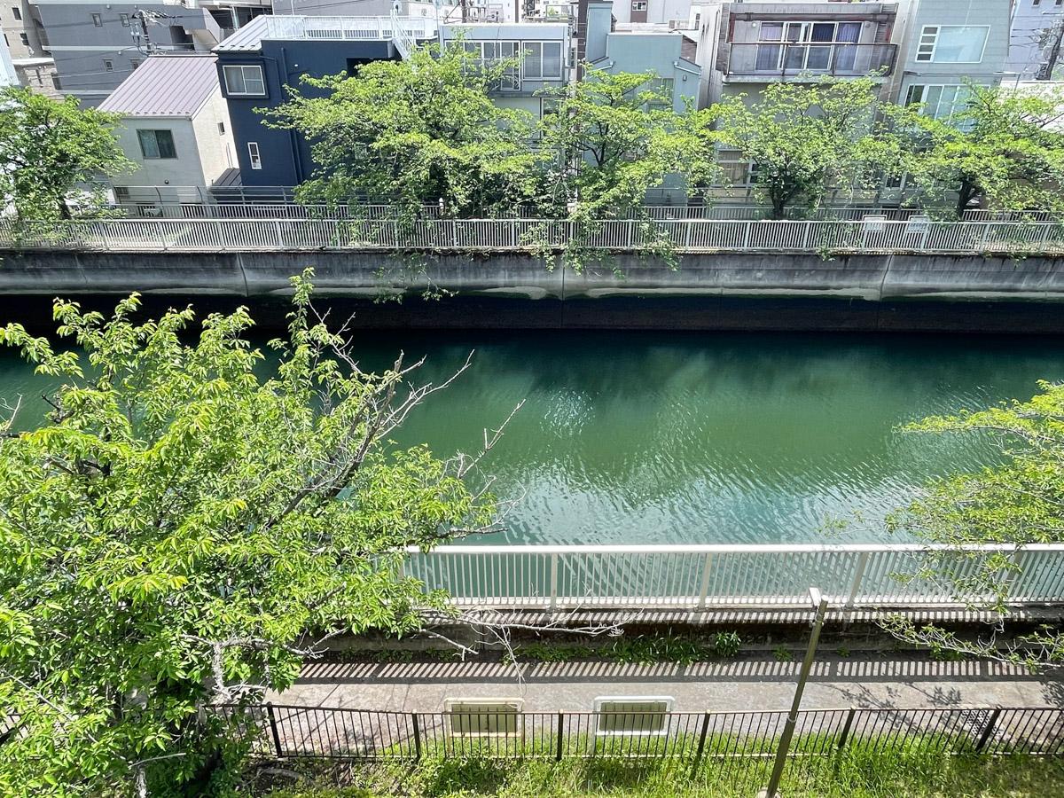 江東区平野の賃貸物件/見下ろすと「仙台堀川」がすぐそこに。側道を散歩する人が見えます