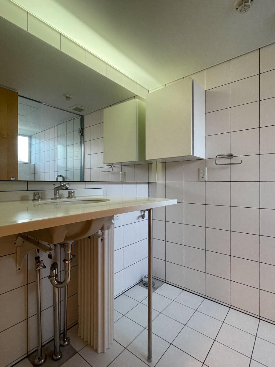 国分寺市南町の賃貸物件/洗面所