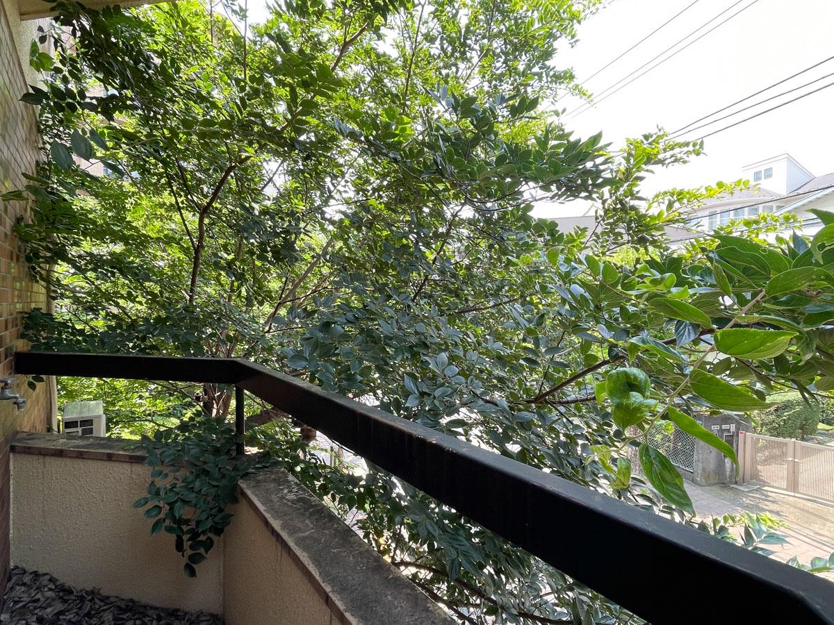 渋谷区松濤の賃貸物件/2号室は専用のテラス。ここで一息つく時間がいいですね