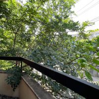 渋谷区松濤の賃貸物件/2号室は専用のテラス。ここで一息つく時間がいいですね