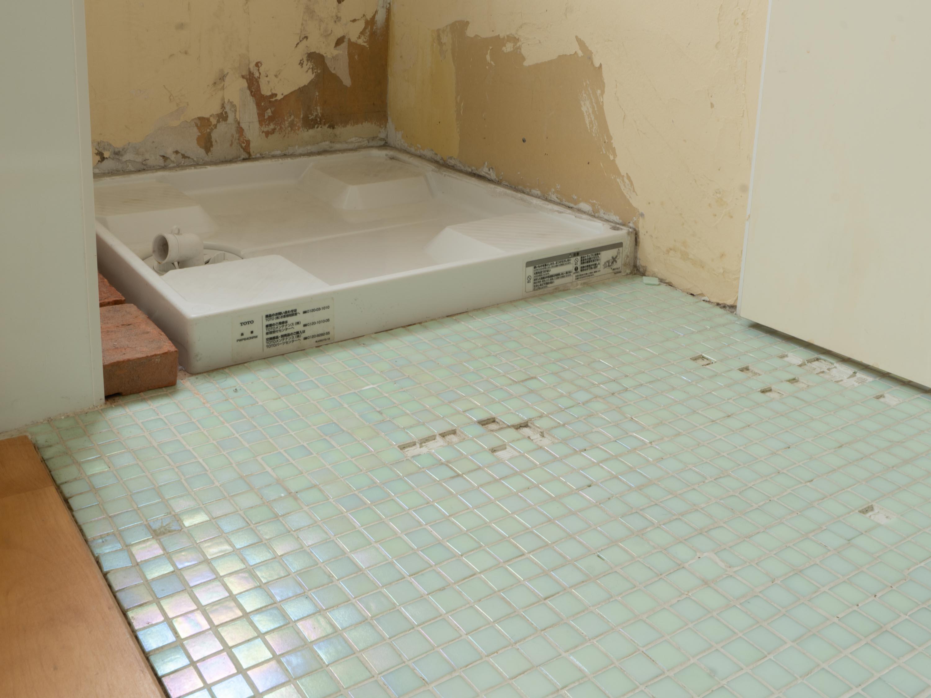 杉並区善福寺の賃貸物件/一部の水回りの足元にはパステルグリーンのシェルタイルが敷かれている