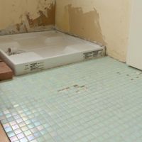 杉並区善福寺の賃貸物件/一部の水回りの足元にはパステルグリーンのシェルタイルが敷かれている