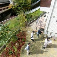 三鷹市井の頭の賃貸物件/この庭を使って、焚火会や青空ヨガをやったこともあるそう