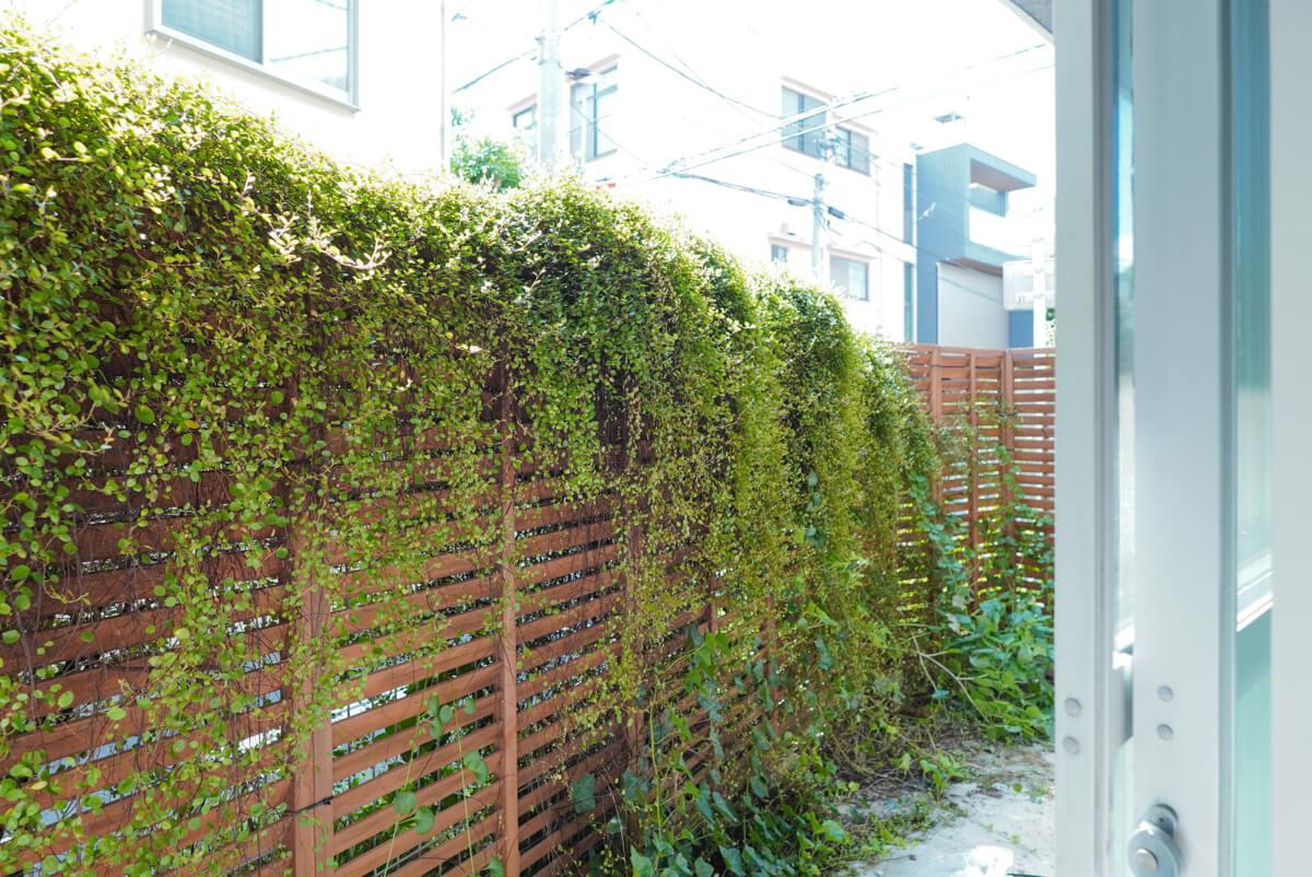 文京区千石の賃貸物件