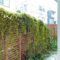 文京区千石の賃貸物件