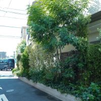 文京区千石の賃貸物件