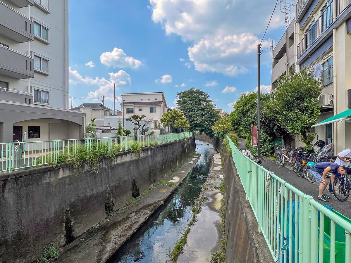 杉並区久我山の賃貸物件/神田川沿いは遊歩道で、散歩にちょうど良さそう