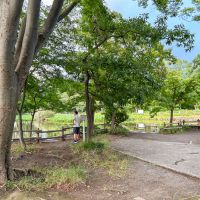 横浜市港北区篠原東の賃貸物件/近所には大きな池のある菊名池公園