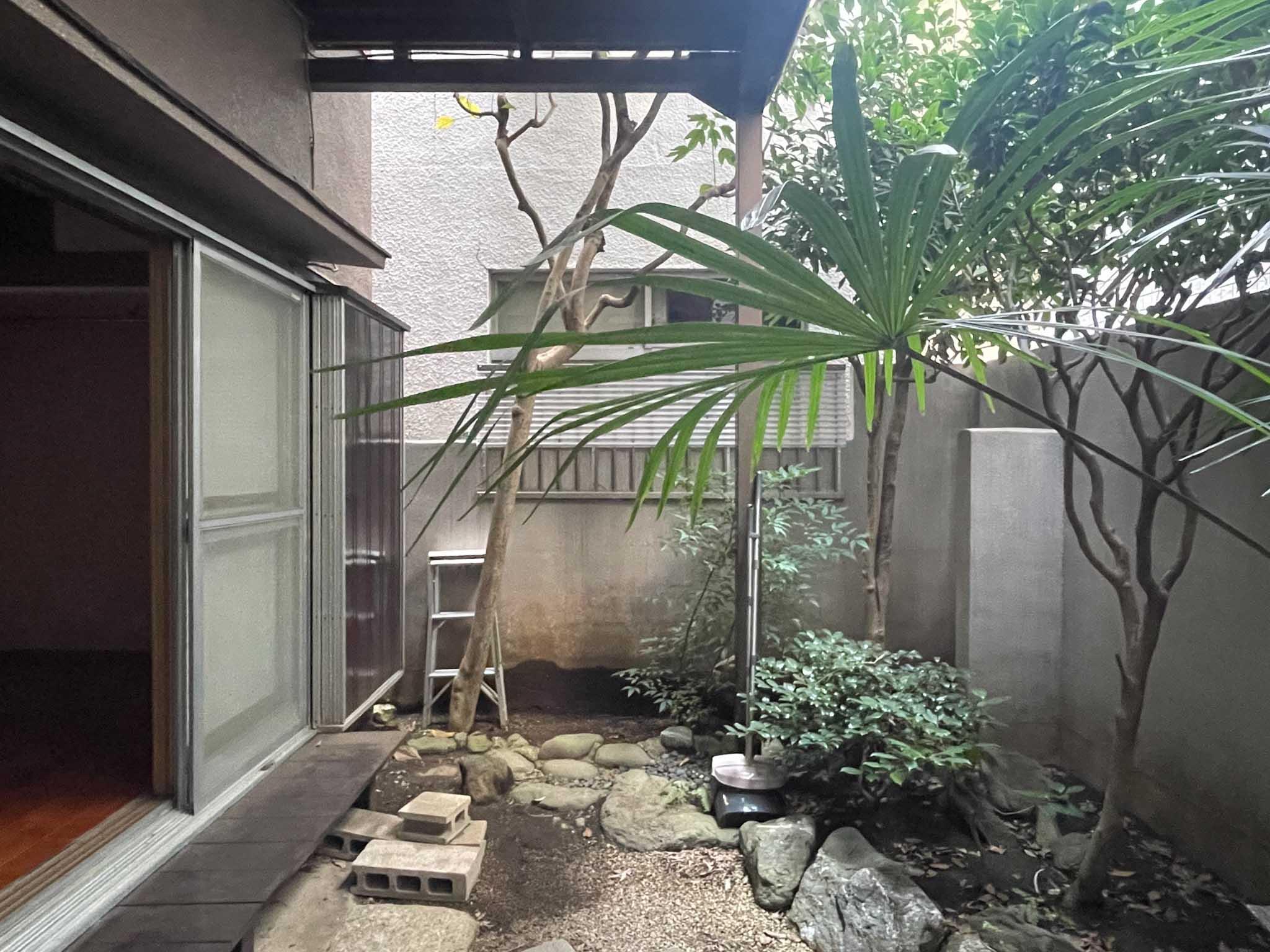 文京区弥生の賃貸物件/広さでいうと8畳ほどの小さな庭ですが、部屋からの景色として楽しむことができます