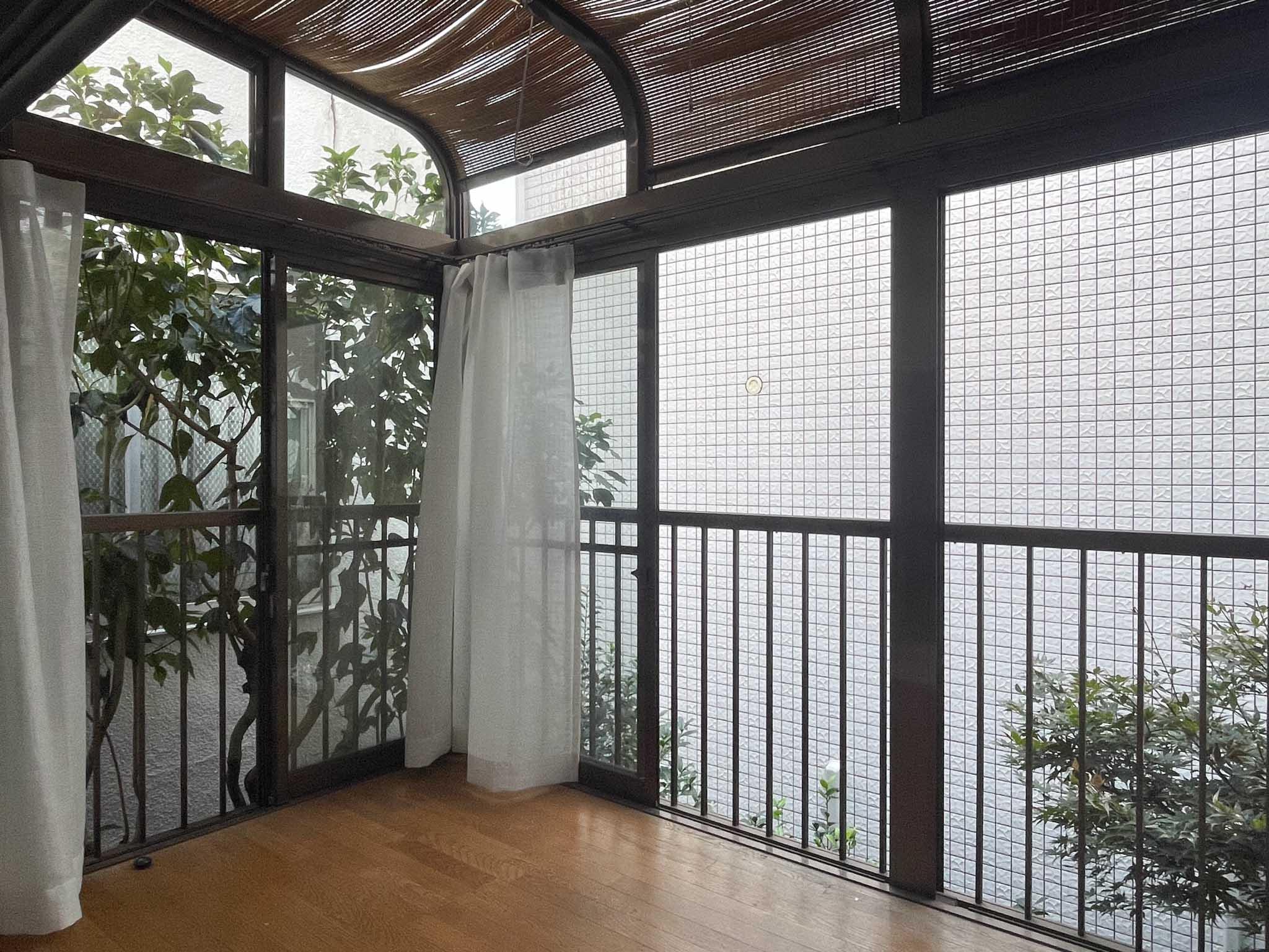 文京区弥生の賃貸物件/2F、サンルーム：伸びた木が見えますが、その先は隣家の窓があります