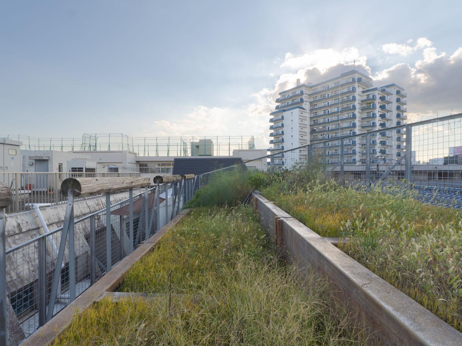 大田区東六郷の賃貸物件/屋上：屋上菜園。空が広くて気持ち良い。初心者でも手を出しやすそうな丁度よいサイズ感