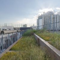 大田区東六郷の賃貸物件/屋上：屋上菜園。空が広くて気持ち良い。初心者でも手を出しやすそうな丁度よいサイズ感