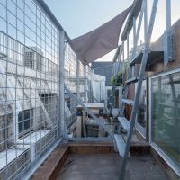 大田区東六郷の賃貸物件/屋上：バルコニーのはしごを登った先に屋上菜園