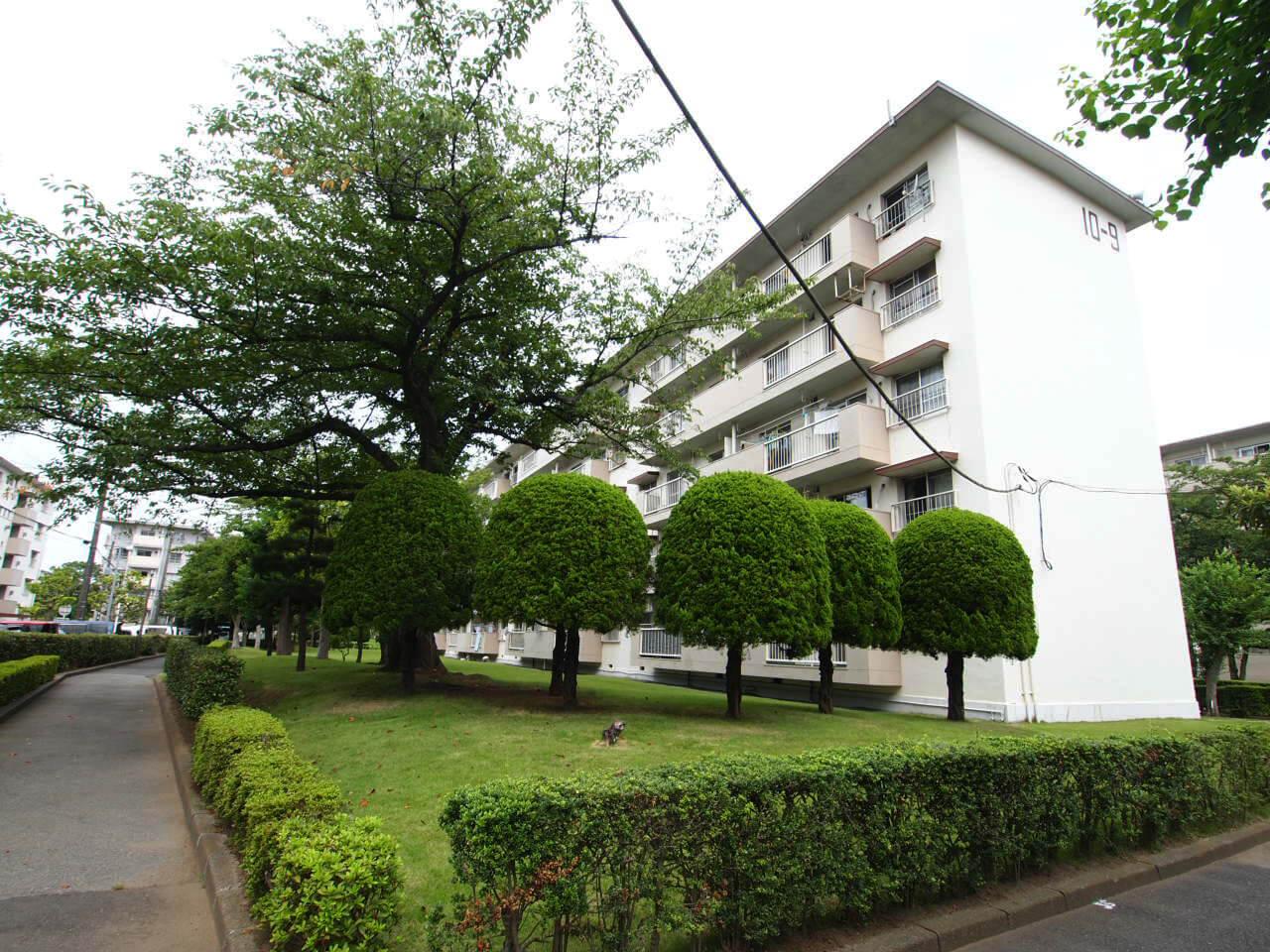 千葉市美浜区幸町の賃貸物件/外観。建物正面に大きな桜の木