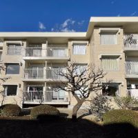 杉並区浜田山の賃貸物件/今回の区画は1階。前面道路からはある程度距離があったり、植栽を挟んでいるのでそこまで視線は気にならないかと思います