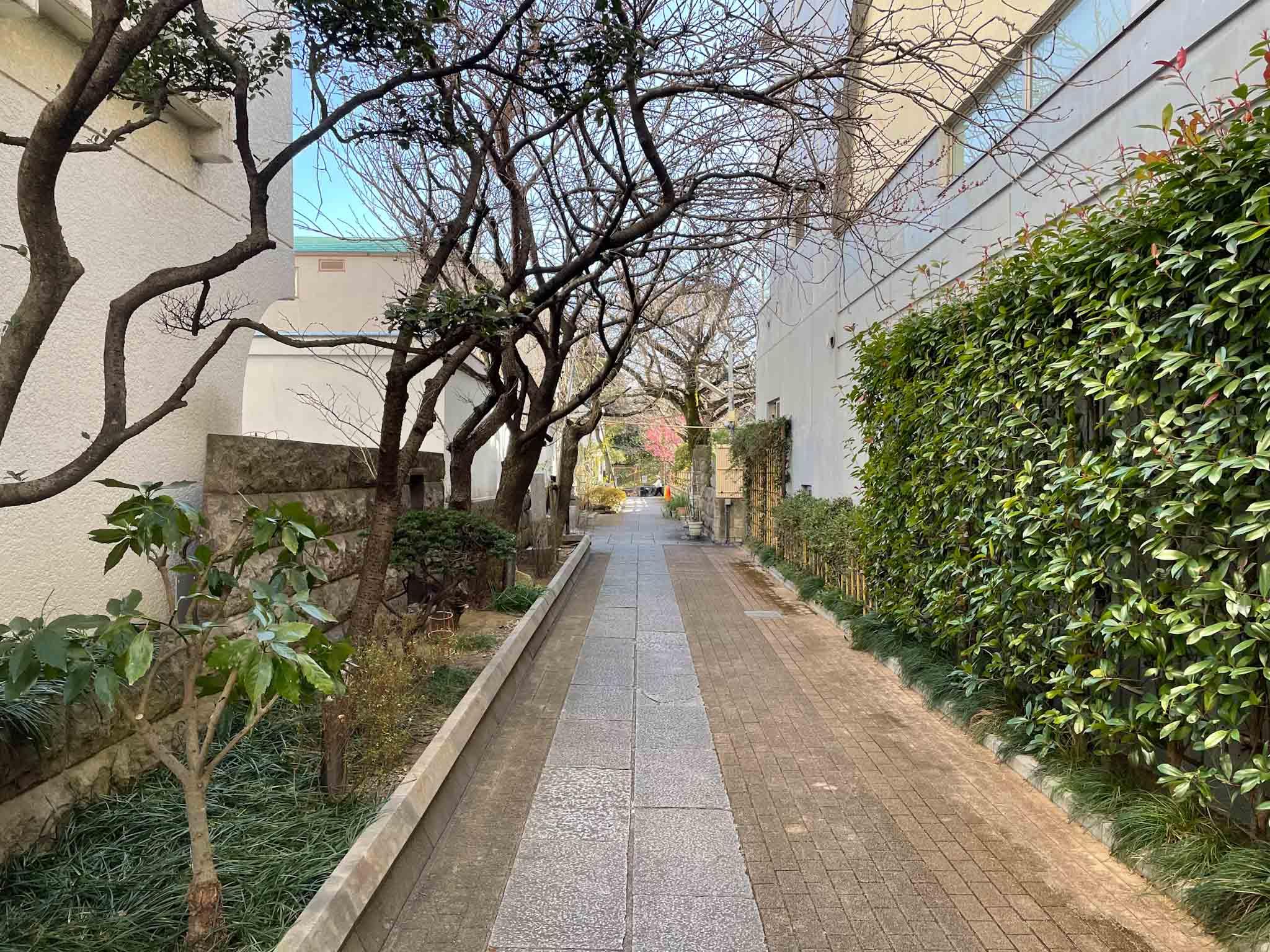 江東区清澄の賃貸物件/マンションの脇道を歩いて行けば...