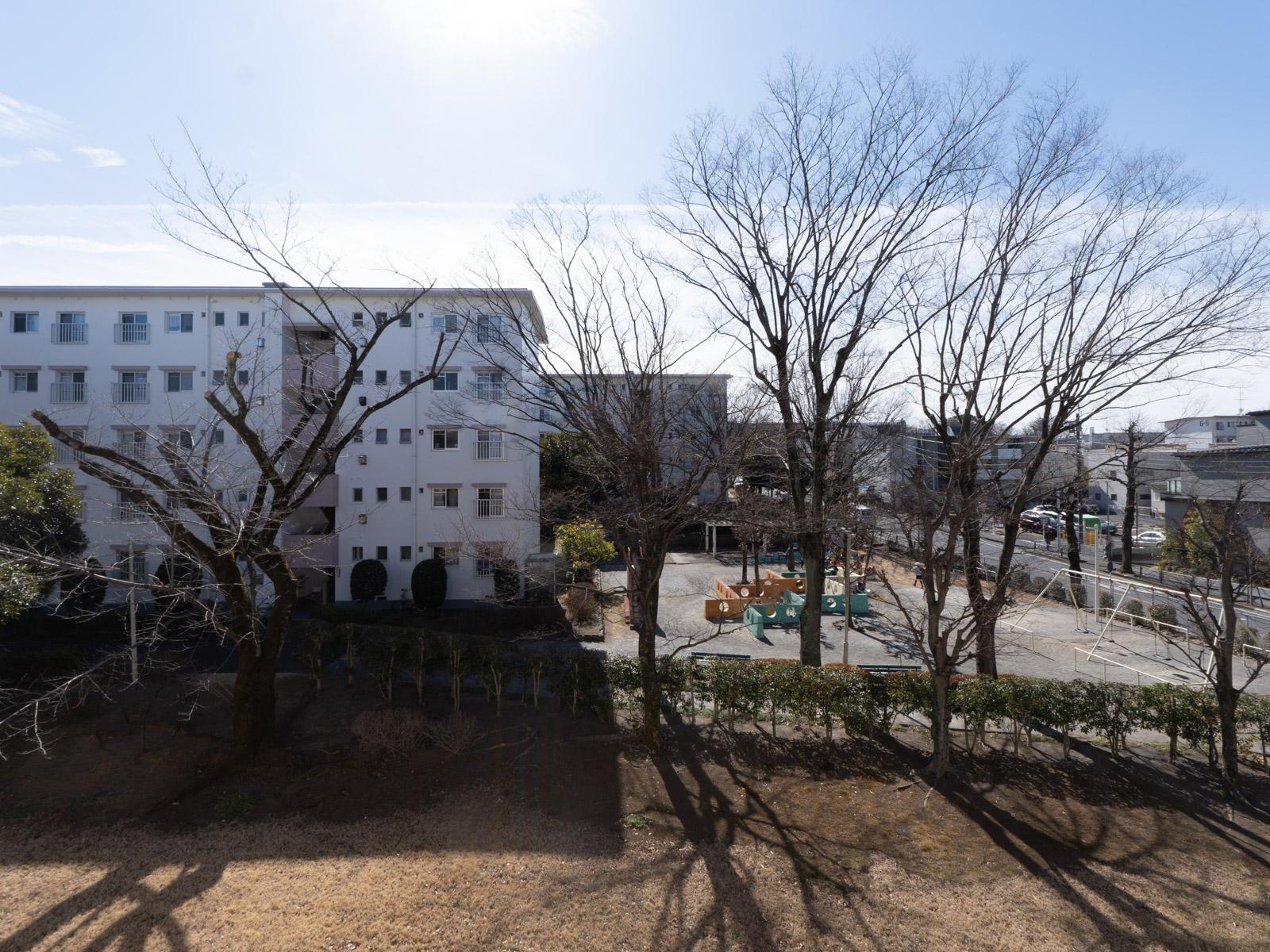 神奈川県川崎市多摩区三田の賃貸物件/ベランダからの眺望。春は桜を楽しむことができます