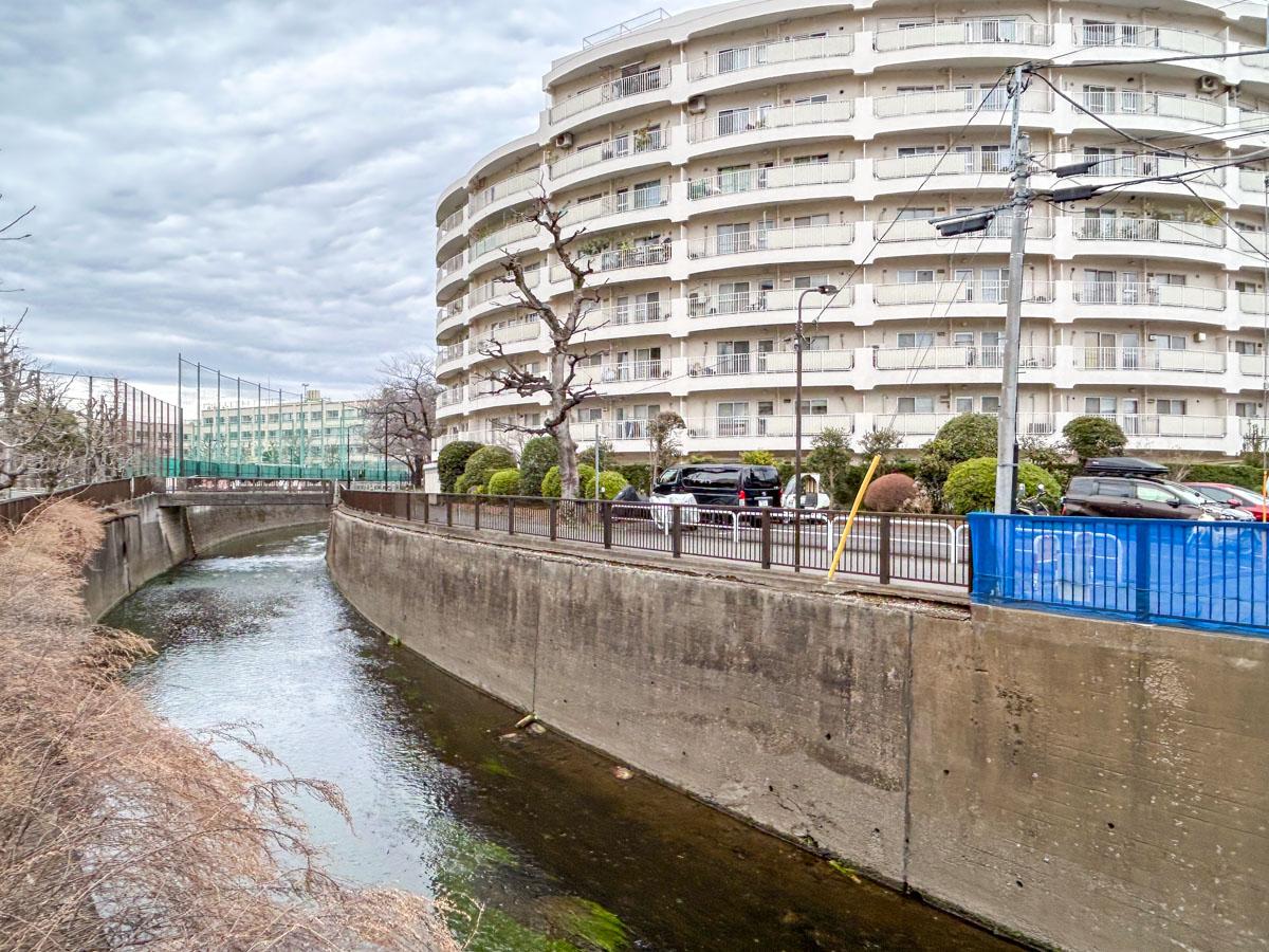 新宿区中井の賃貸物件/マンションの南側には、おだやかに流れる妙正寺川