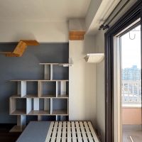 板橋区大山東町の賃貸物件/いたるところにキャットウォークが造作されています。そのまま使っても撤去しても大丈夫です