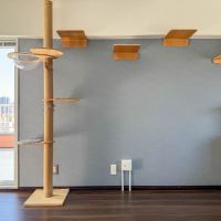 板橋区大山東町の賃貸物件/壁一面にキャットウォークやキャットタワー！