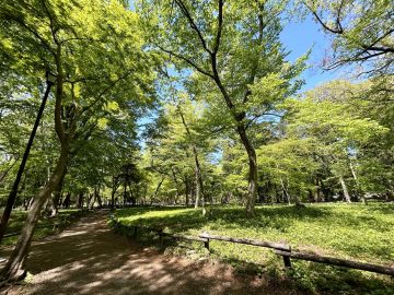三鷹市井の頭の賃貸物件/公園のほとり 和やかな暮らし