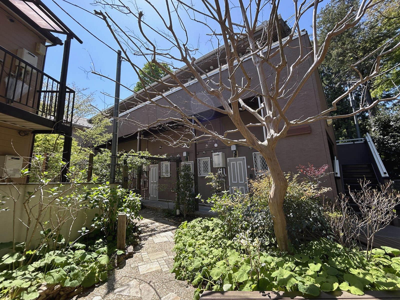 三鷹市井の頭の賃貸物件/アパートの入口、敷地内も緑豊かです