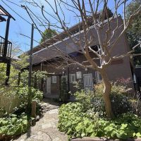 三鷹市井の頭の賃貸物件/アパートの入口、敷地内も緑豊かです