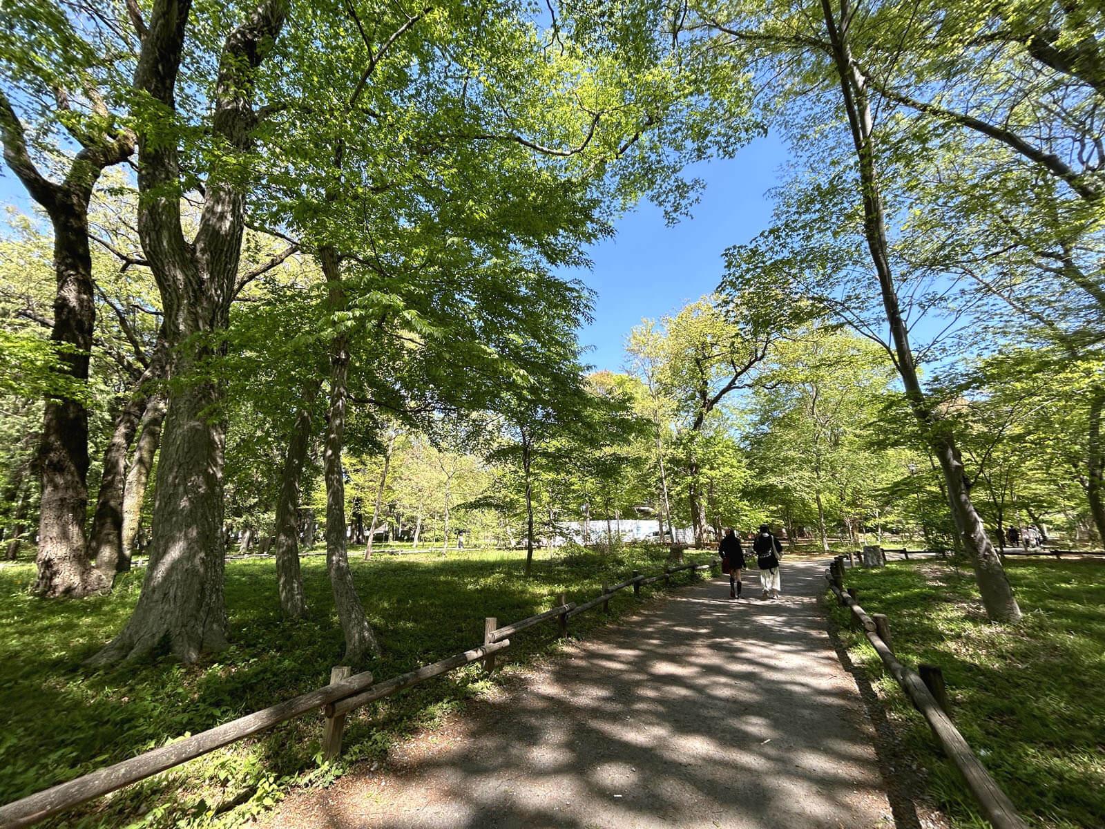 三鷹市井の頭の賃貸物件/駅までの道のりもこの気持ちよさ！ 吉祥寺の町もたっぷり満喫を