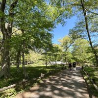 三鷹市井の頭の賃貸物件/駅までの道のりもこの気持ちよさ！ 吉祥寺の町もたっぷり満喫を