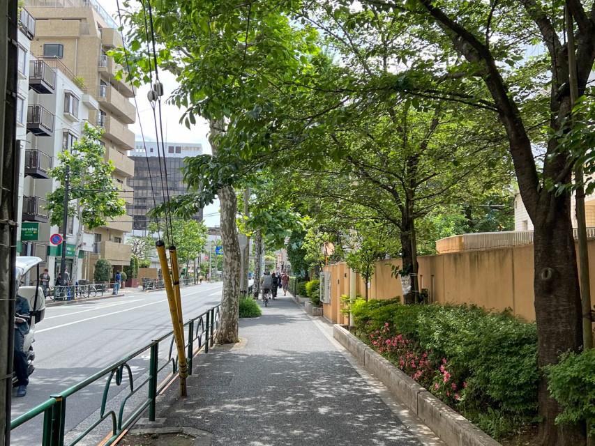 新宿区西新宿の賃貸物件/周辺には緑が生い茂り、気持ちの良い環境です