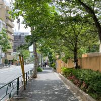 新宿区西新宿の賃貸物件/周辺には緑が生い茂り、気持ちの良い環境です