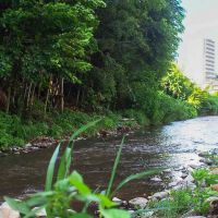 所沢市下安松の売買物件/普段の柳瀬川はこのように澄んだ水が流れています