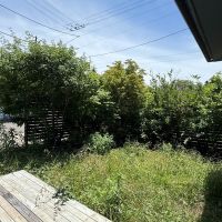 千葉県四街道市内黒田の売買物件/野性味あふれるお庭。手入れしても良し、ワイルドに育てても良し