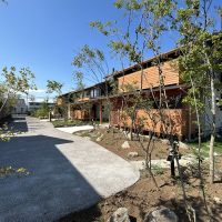茨城県つくば市花畑の売買物件/前面道路をC区画から