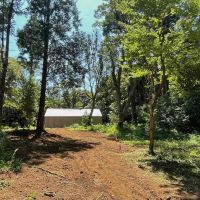 千葉県いすみ市岬町椎木の売買物件/区画3あたりから隣地の「MUJI HOUSE」を望む。背の高い木々が多い