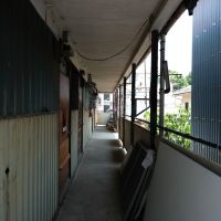 神奈川県横浜市港北区篠原町の賃貸物件