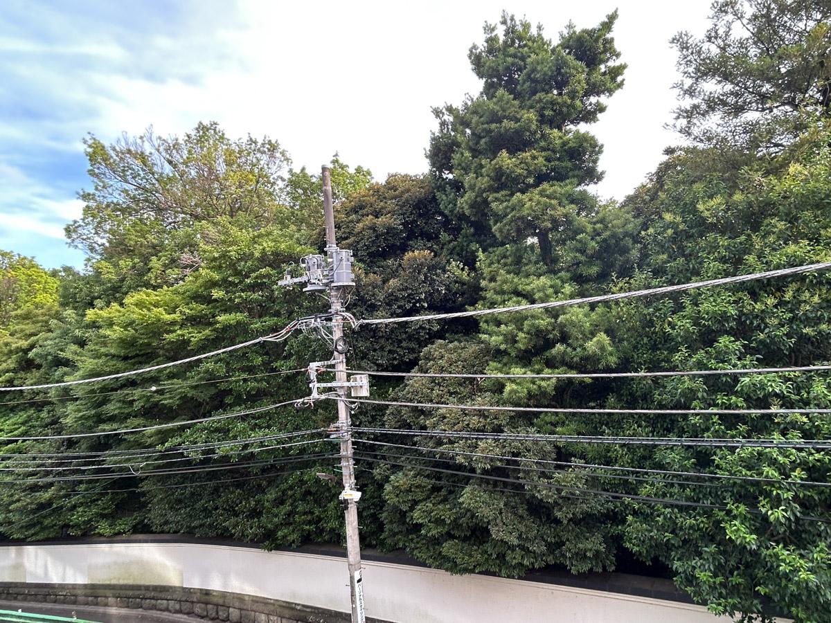 港区南青山の賃貸物件/紅葉や松など、様々な種類の木々たちが並んでいます。